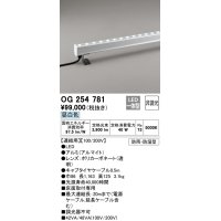 オーデリック　OG254781　間接照明 LED一体型 非調光 昼白色 防雨・防湿型 L1200タイプ