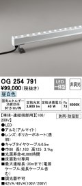 オーデリック　OG254791　間接照明 LED一体型 非調光 昼白色 防雨・防湿型 L1200タイプ
