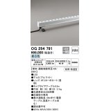 オーデリック　OG254791　間接照明 LED一体型 非調光 昼白色 防雨・防湿型 L1200タイプ