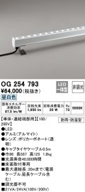 オーデリック　OG254793　間接照明 LED一体型 非調光 昼白色 防雨・防湿型 L600タイプ