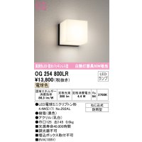 オーデリック　OG254800LR(ランプ別梱)　エクステリア ポーチライト LEDランプ 電球色 防水パッキンレス型 防雨型 ブラック