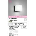 オーデリック　OG254800WR(ランプ別梱)　エクステリア ポーチライト LEDランプ 温白色 防雨型 ブラック