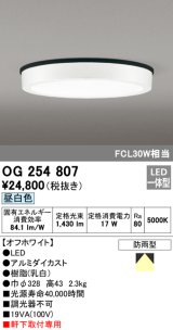 オーデリック　OG254807　エクステリアダウンライト LED一体型 非調光 昼白色 オフホワイト 防雨型