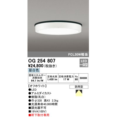 画像1: オーデリック　OG254807　エクステリアダウンライト LED一体型 非調光 昼白色 オフホワイト 防雨型