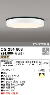 オーデリック　OG254808　エクステリアダウンライト LED一体型 非調光 電球色 オフホワイト 防雨型