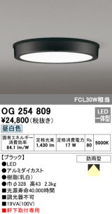 オーデリック　OG254809　エクステリアダウンライト LED一体型 非調光 昼白色 ブラック 防雨型