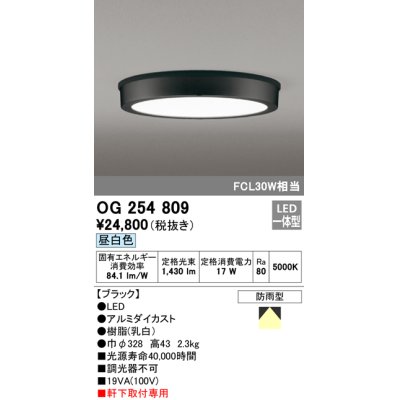 画像1: オーデリック　OG254809　エクステリアダウンライト LED一体型 非調光 昼白色 ブラック 防雨型