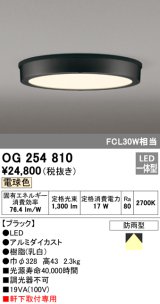 オーデリック　OG254810　エクステリアダウンライト LED一体型 非調光 電球色 ブラック 防雨型