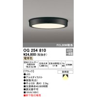 オーデリック　OG254810　エクステリアダウンライト LED一体型 非調光 電球色 ブラック 防雨型