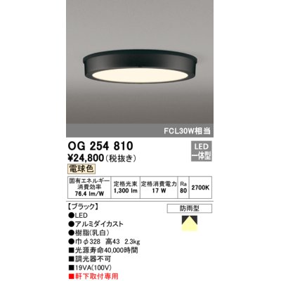 画像1: オーデリック　OG254810　エクステリアダウンライト LED一体型 非調光 電球色 ブラック 防雨型