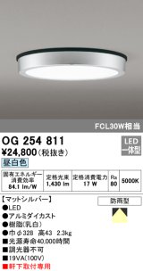 オーデリック　OG254811　エクステリアダウンライト LED一体型 非調光 昼白色 マットシルバー 防雨型
