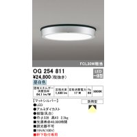 オーデリック　OG254811　エクステリアダウンライト LED一体型 非調光 昼白色 マットシルバー 防雨型