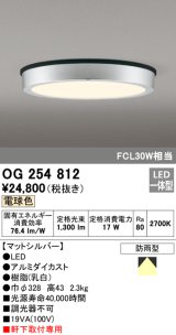 オーデリック　OG254812　エクステリアダウンライト LED一体型 非調光 電球色 マットシルバー 防雨型