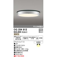 オーデリック　OG254812　エクステリアダウンライト LED一体型 非調光 電球色 マットシルバー 防雨型