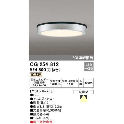 画像1: オーデリック　OG254812　エクステリアダウンライト LED一体型 非調光 電球色 マットシルバー 防雨型