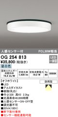 オーデリック　OG254813　エクステリアダウンライト LED一体型 人感センサON-OFF 昼白色 オフホワイト 防雨型