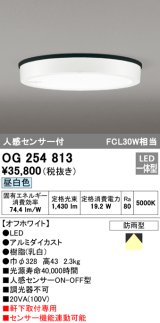 オーデリック　OG254813　エクステリアダウンライト LED一体型 人感センサON-OFF 昼白色 オフホワイト 防雨型