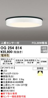 オーデリック　OG254814　エクステリアダウンライト LED一体型 人感センサON-OFF 電球色 オフホワイト 防雨型