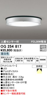 オーデリック　OG254817　エクステリアダウンライト LED一体型 人感センサON-OFF 昼白色 マットシルバー 防雨型