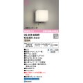 オーデリック　OG254825BR　エクステリア ポーチライト Bluetooth タブレット別売 LED一体型 電球色 人感センサー付 防雨型 マットシルバー