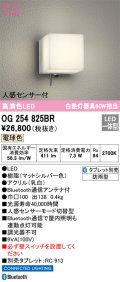 オーデリック　OG254825BR　エクステリア ポーチライト Bluetooth タブレット別売 LED一体型 電球色 人感センサー付 防雨型 マットシルバー