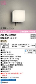 オーデリック　OG254826BR　エクステリア ポーチライト Bluetooth タブレット別売 LED一体型 電球色 人感センサー付 防雨型 ブラック