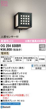 オーデリック　OG254830BR　エクステリア ポーチライト Bluetooth タブレット別売 LED一体型 電球色 人感センサー付 防雨型 ブラック
