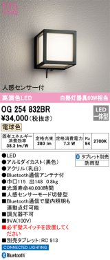 オーデリック　OG254832BR　エクステリア ポーチライト Bluetooth タブレット別売 LED一体型 電球色 人感センサー付 防雨型 ブラック