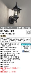 オーデリック　OG254841BC1　エクステリア ポーチライト Bluetooth タブレット別売 LEDランプ 電球色 人感センサー付 防雨型 ブラック