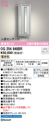 オーデリック　OG254848BR　エクステリア ポーチライト Bluetooth タブレット別売 LEDランプ 電球色 人感センサー付 防雨型 マットシルバー