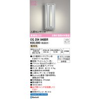 オーデリック　OG254848BR　エクステリア ポーチライト Bluetooth タブレット別売 LEDランプ 電球色 人感センサー付 防雨型 マットシルバー