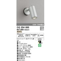 オーデリック　OG254850　エクステリアスポットライト LED一体型 電球色 φ88 長180 ミディアム配光 防雨型 シルバー