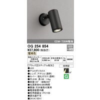 オーデリック　OG254854　エクステリアスポットライト LED一体型 電球色 φ88 長180 ミディアム配光 防雨型 ブラック