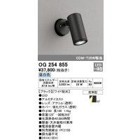 オーデリック　OG254855　エクステリアスポットライト LED一体型 昼白色 φ88 長180 ワイド配光 防雨型 ブラック