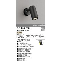 オーデリック　OG254856　エクステリアスポットライト LED一体型 電球色 φ88 長180 ワイド配光 防雨型 ブラック
