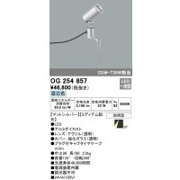 オーデリック　OG254857　エクステリアスポットライト LED一体型 昼白色 φ88 長180 ミディアム配光 防雨型 シルバー