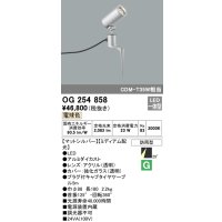オーデリック　OG254858　エクステリアスポットライト LED一体型 電球色 φ88 長180 ミディアム配光 防雨型 シルバー