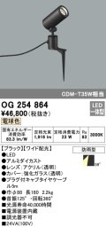 オーデリック　OG254864　エクステリアスポットライト LED一体型 電球色 φ88 長180 ワイド配光 防雨型 ブラック