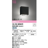 オーデリック　OG254865NCR(ランプ別梱)　エクステリア ポーチライト LEDランプ 昼白色 人感センサー付 防雨型 ブラック