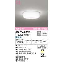 オーデリック　OG254873R　バスルームライト 非調光 LED一体型 昼白色防雨・防湿型
