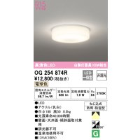 オーデリック　OG254874R　バスルームライト 非調光 LED一体型 電球色防雨・防湿型