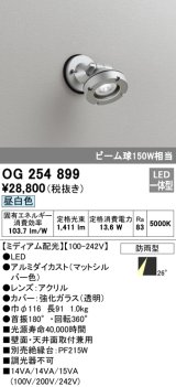 オーデリック　OG254899　エクステリアスポットライト LED一体型 昼白色 ミディアム配光 防雨型 マットシルバー