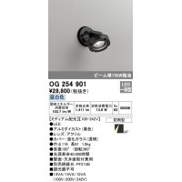 オーデリック　OG254901　エクステリアスポットライト LED一体型 昼白色 ミディアム配光 防雨型 黒