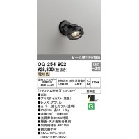 オーデリック　OG254902　エクステリアスポットライト LED一体型 電球色 ミディアム配光 防雨型 黒