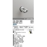 オーデリック　OG254903　エクステリアスポットライト LED一体型 昼白色 ワイド配光 防雨型 マットシルバー