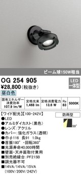 オーデリック　OG254905　エクステリアスポットライト LED一体型 昼白色 ワイド配光 防雨型 黒