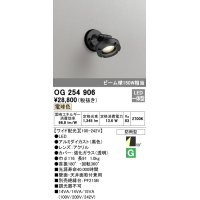オーデリック　OG254906　エクステリアスポットライト LED一体型 電球色 ワイド配光 防雨型 黒