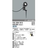 オーデリック　OG254913　エクステリアスポットライト LED一体型 昼白色 埋込200 ワイド配光 防雨型 黒