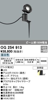 オーデリック　OG254913　エクステリアスポットライト LED一体型 昼白色 埋込200 ワイド配光 防雨型 黒