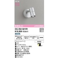 オーデリック OG254921R1 エクステリア スポットライト LED一体型 昼白色 高演色LED R15 防雨型 マットシルバー